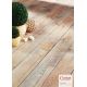 Corelan Eiche antik 1.235 x 305 x 11 mm