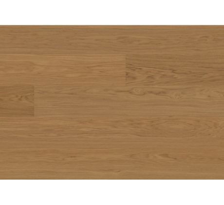 Hardened Oak NOSABY 3.0 XL