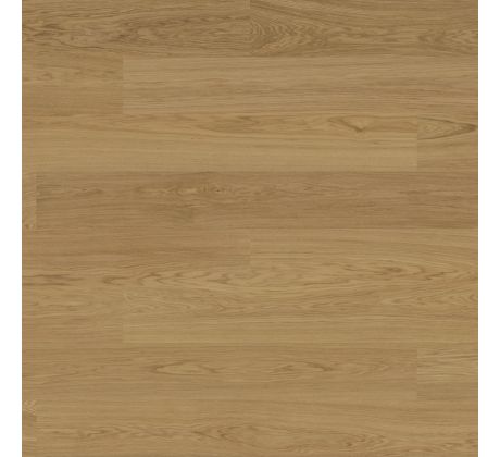 Hardened Oak MÖLLE 3.0 XXL