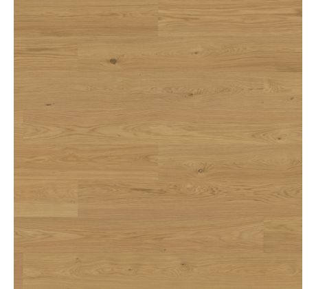 Hardened Oak VIKEN 3.0 XXL