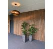 Thermo borovica fasádny obklad Hranol 26x68 x3900mm AB