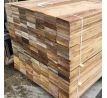 Tanimbuca